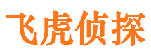 奈曼旗市调查公司